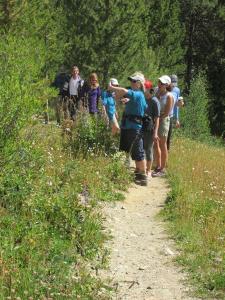 Hiking & Walking Tours in Frisco