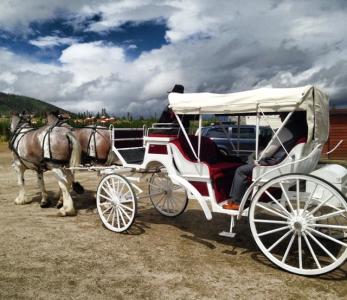 Hayrides & Carriage Rides in Estes Park